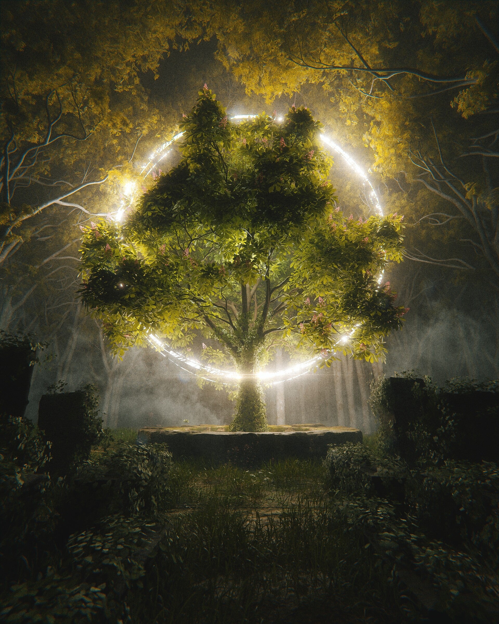 A large tree stands in the centre of a forest, illuminated by a glowing circular ring, casting light on its surroundings.