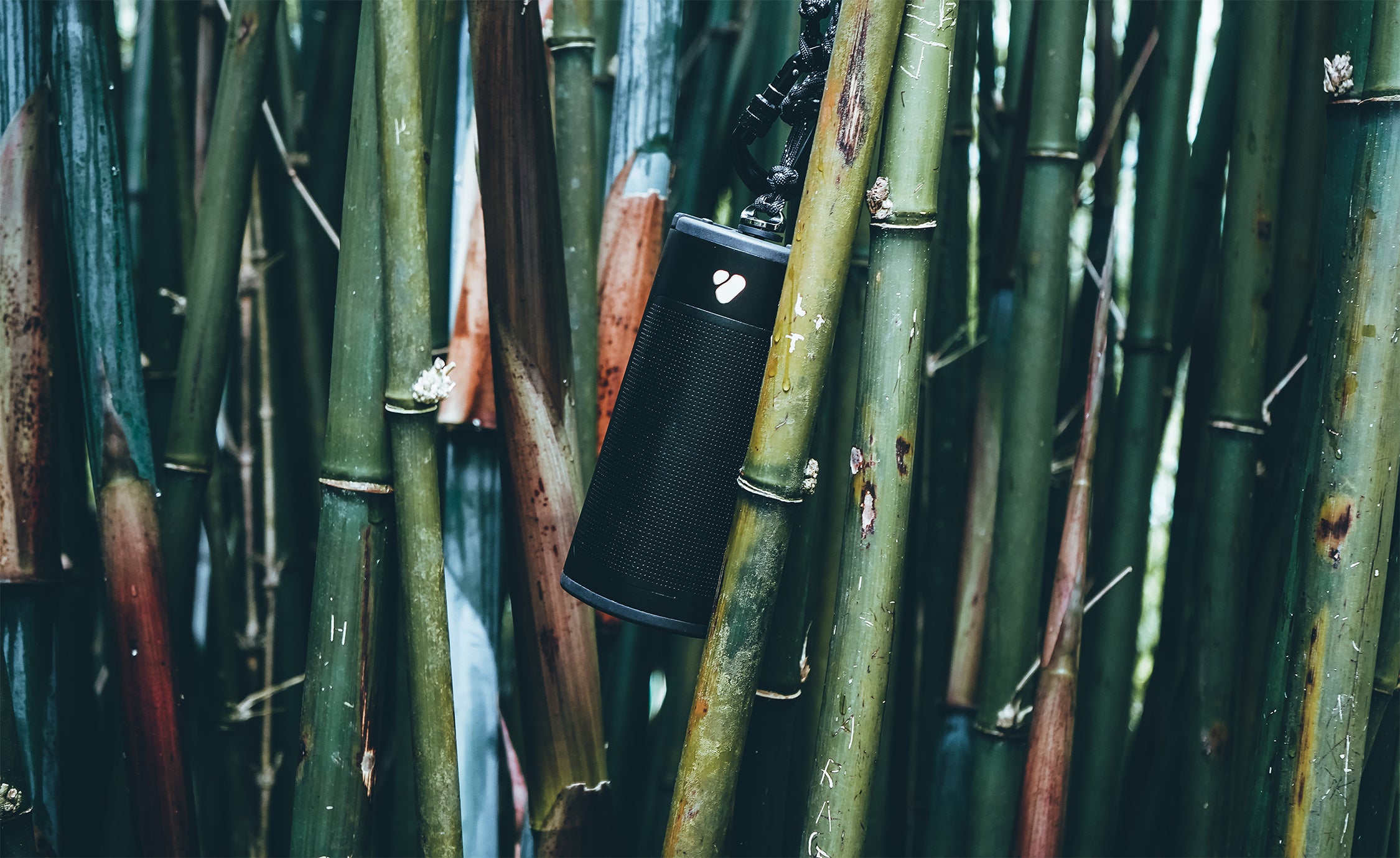 PINE_Speaker_hanging_on_a_green_bamboo_forest_the_logo_shines