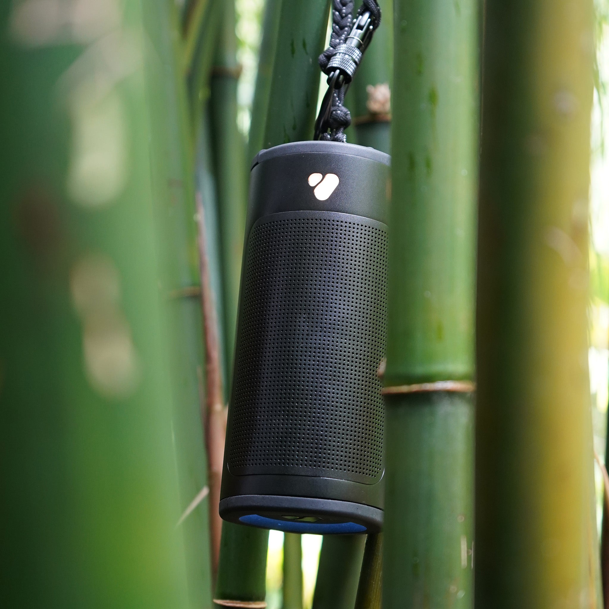 Black speaker hung up on bamboo forest with lights on.