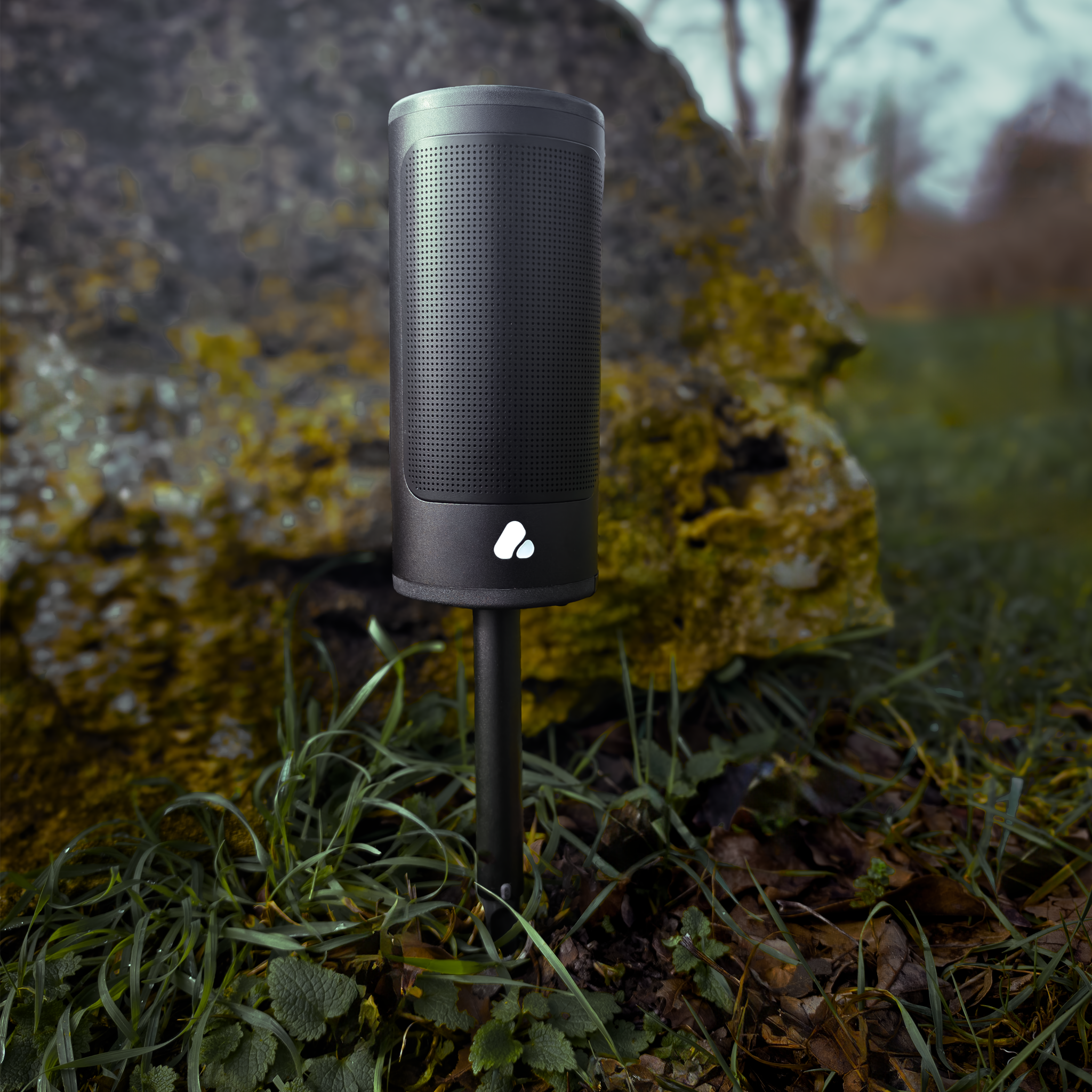PINE Beat Speaker